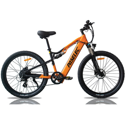 GS9 Full Suspension Ebike