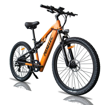 GS9 Full Suspension Ebike