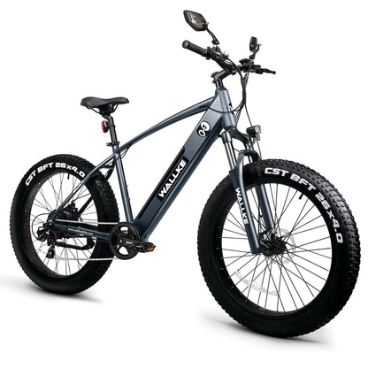 Wallke F2 Electric Bike with 26*4.0 Inch CST Fat Tire